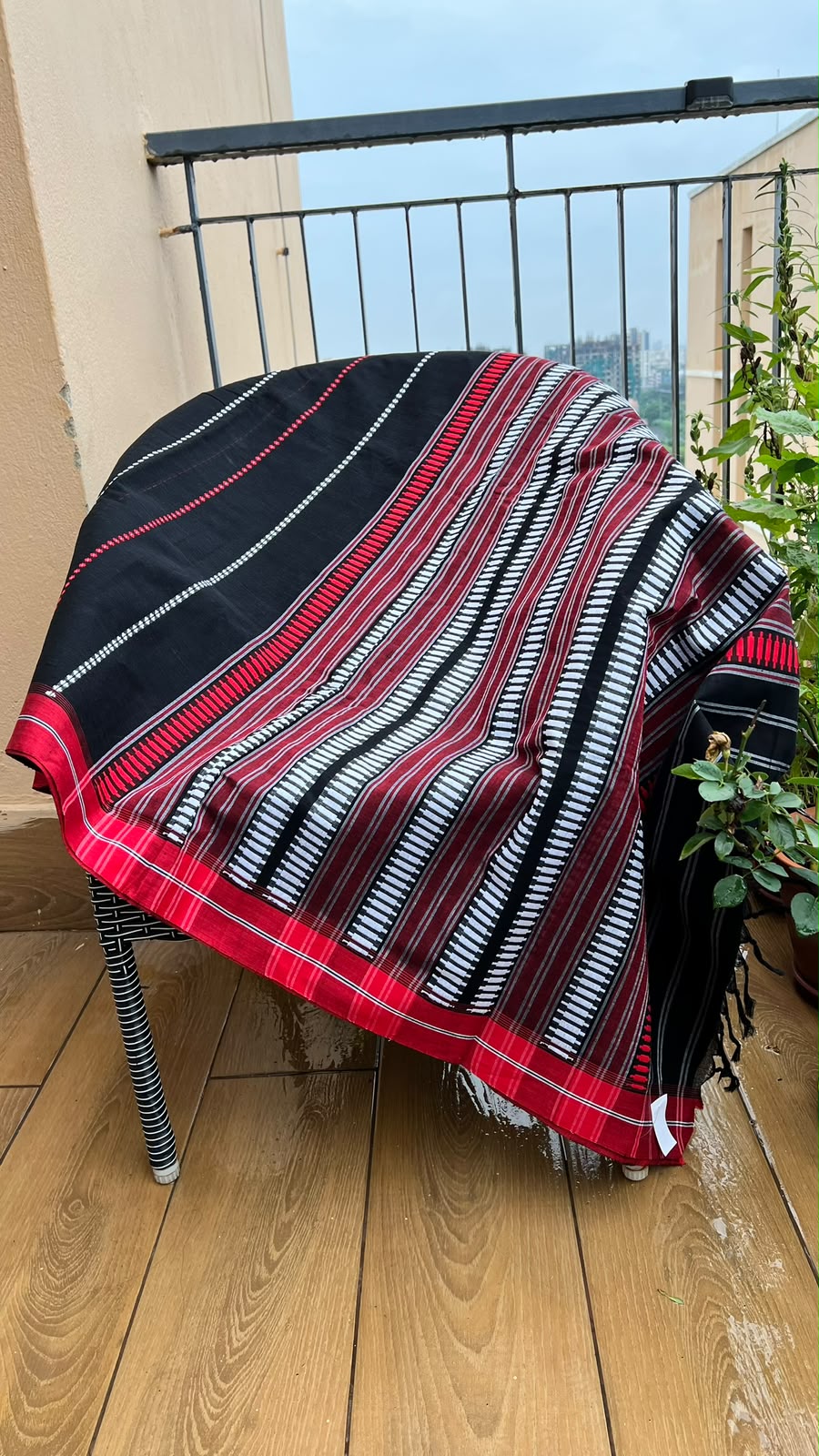 Black red Striped Begumpuri
