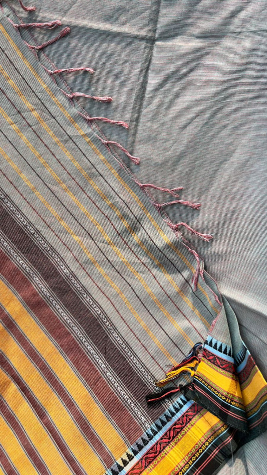 Black stripe Begumpuri
